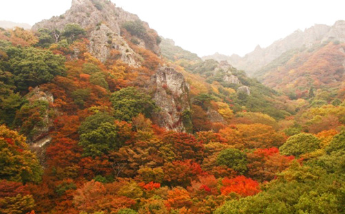 寒霞渓の紅葉