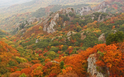 寒霞渓の紅葉