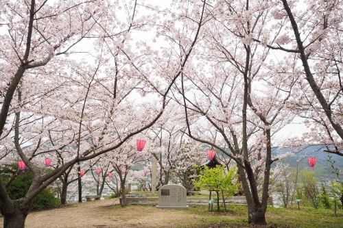 城山桜公園