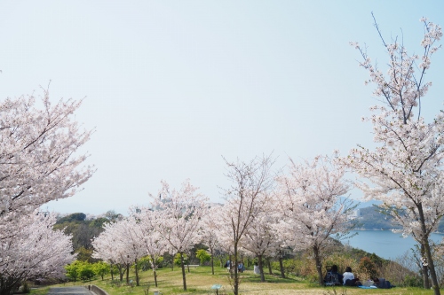 城山桜公園