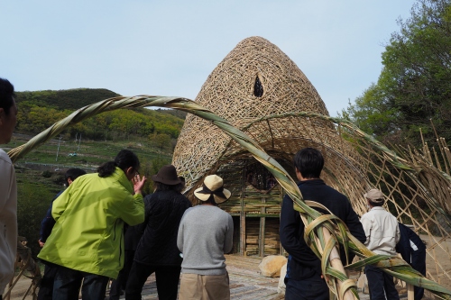 小豆島の恋