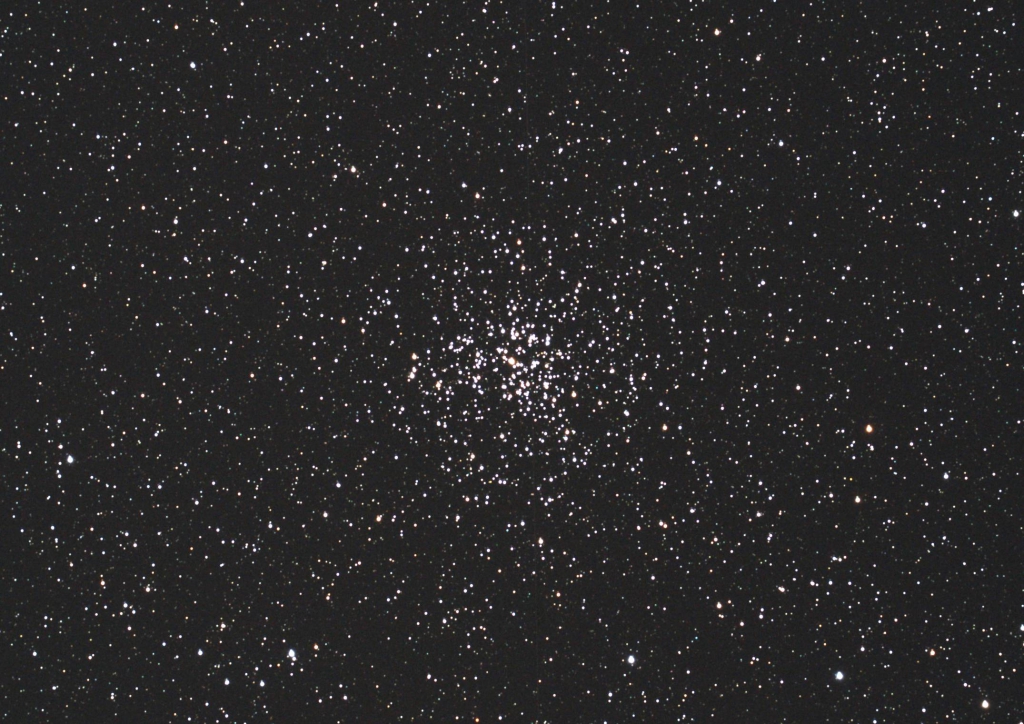 M37トリミング