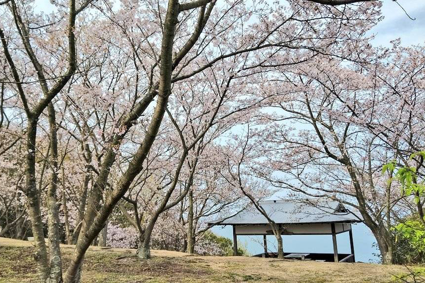 城山桜公園