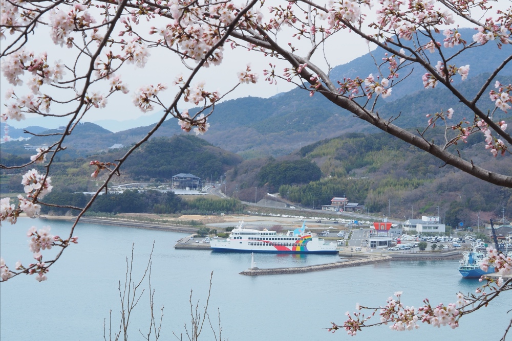 城山桜公園