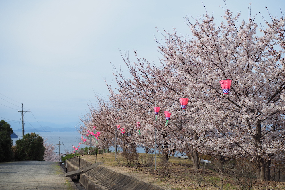 城山桜公園