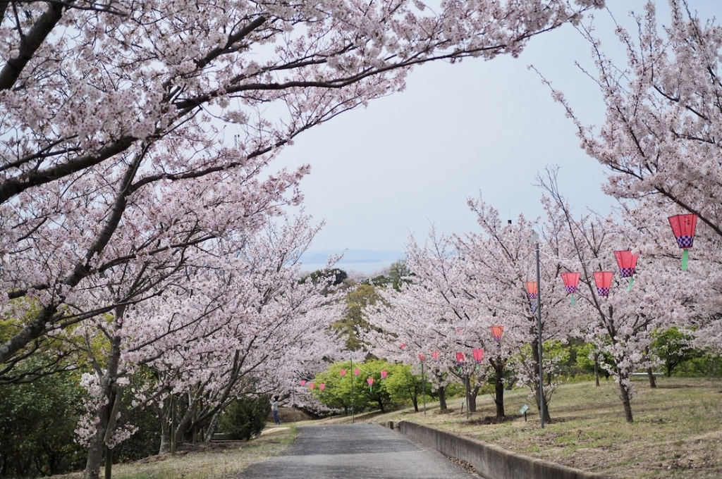 城山桜公園