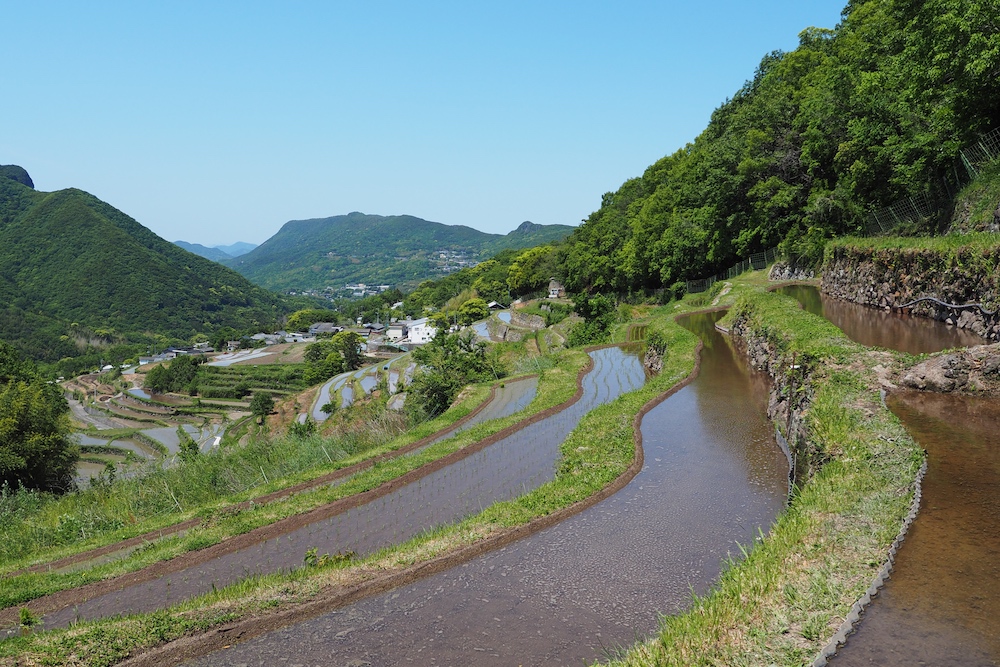 千枚田