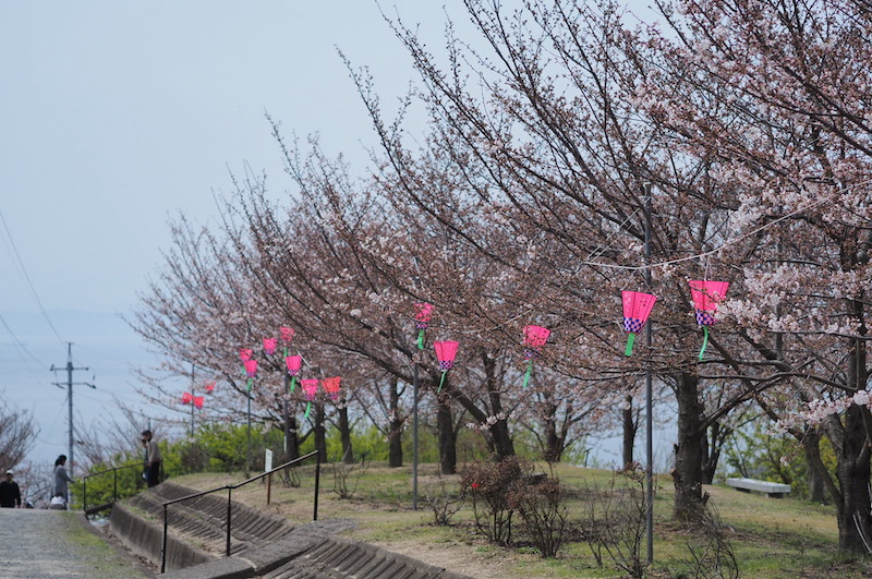 城山桜公園