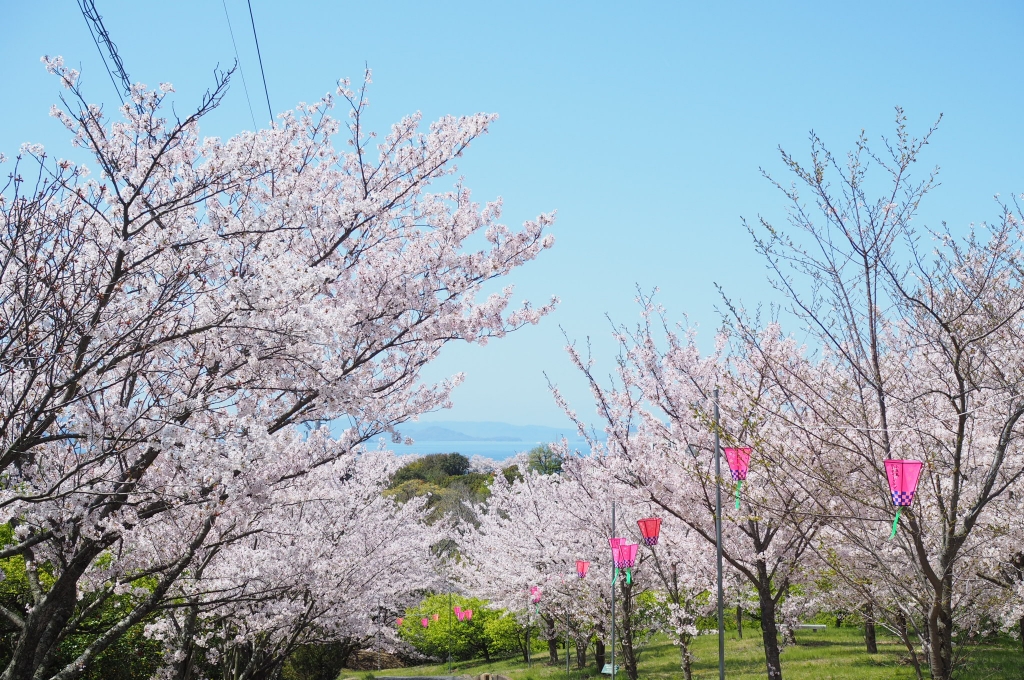 城山桜公園