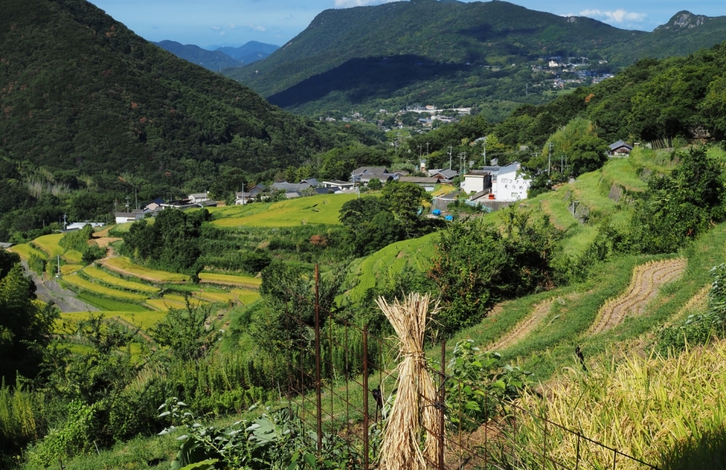 千枚田