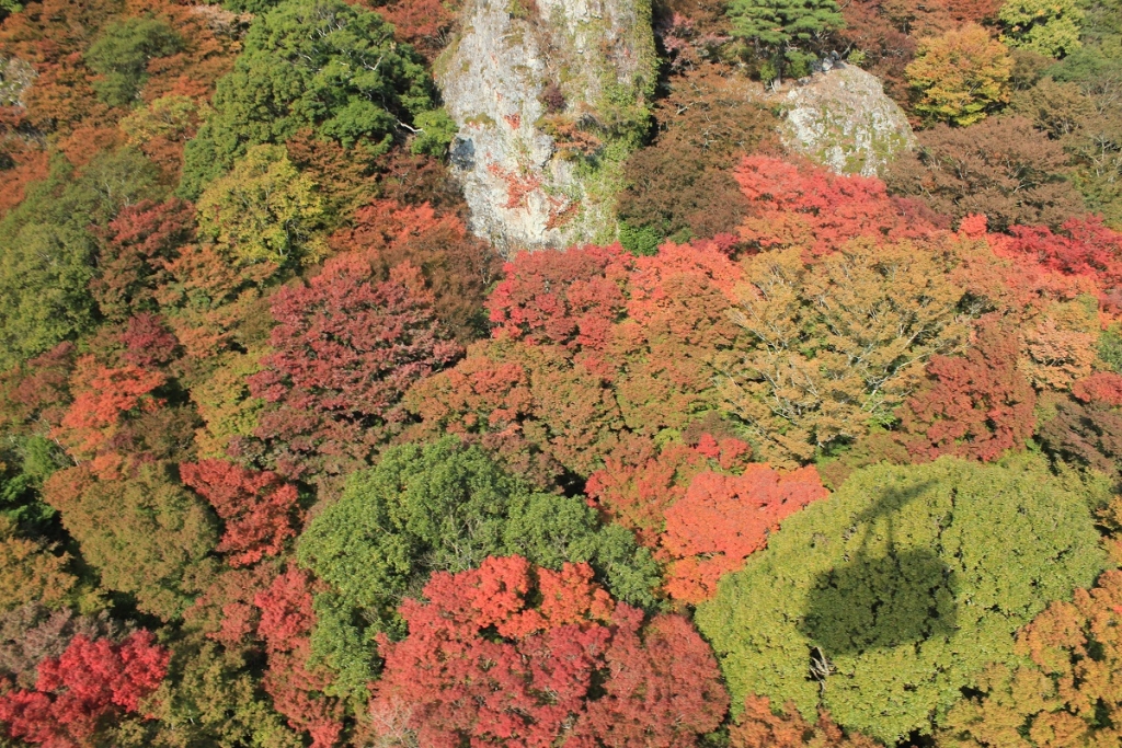 11.14_ロープウェイの車窓より
