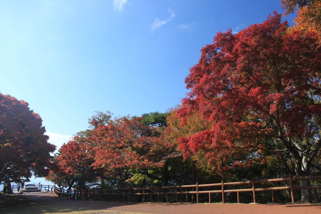 11.8_第一展望台