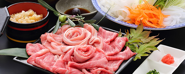 新鮮な海の幸など旬を活かした豊富な料理メニュー