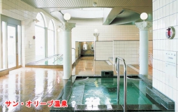 サンオリーブのコピー