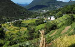 千枚田