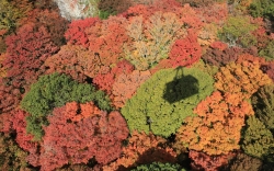 11.20_ロープウェイの車窓より