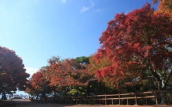 11.8_第一展望台